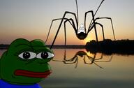 amphibian arm bug crossed_arms foot frog glasses hand irl irl_background nas:pepe neutral pepe pepe_the_frog sitting smile soyjak spider stubble subvariant:wholesome_soyjak sunset variant:gapejak // 6403x4218 // 1.6MB