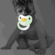 baby babychad binky caca gigachad jpeg_compression nas:gigachad pacifier small_eyes