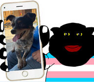 chihuahua_(dog_breed) dog flag:transgender_pride_flag red_lips showing_something subvariant:branigger vantablack_skin variant:brandon yellow_eyes // 1179x1033 // 180.5KB