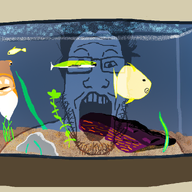 animal fish fish_tank glasses open_mouth soyjak stubble variant:markiplier_soyjak water // 1716x1010 // 1.2MB