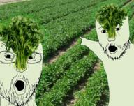 2soyjaks arm glasses hand herb open_mouth parsley plant pointing soyjak stubble variant:two_pointing_soyjaks // 659x520 // 749.8KB