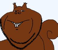 animal brown_skin buck_teeth ear large_mouth remastered smile soyjak stubble subvariant:impish_squirrel tail trend:squirreljakking variant:impish_soyak_ears // 782x678 // 14.9KB