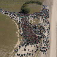 beard big_nose crowd hair immigration israel jewish_nose jews judaism kike meta:ai_generated meta:look_closer meta:not_oc nas:merchant nose optical_illusion rubbing_hands tree // 1024x1024 // 1.8MB