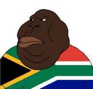 black_skin nigger obese south_africa subvariant:bantumutt variant:meximutt yellow_sclera // 888x849 // 18.1KB