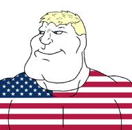 american_dad blue_eyes buff closed_mouth clothes flag flag:united_states hair smile soyjak star_(symbol) subvariant:mexiaryan united_states variant:meximutt yellow_hair // 886x872 // 44.1KB