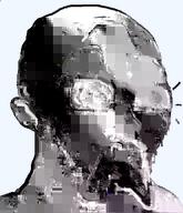 corrupted ear glitch incomprehensible low_quality open_mouth shocked subvariant:doctos transparent_background variant:soyak // 331x385 // 131.1KB