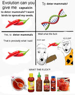 capsaicin caveman club_(weapon) comic dna english_text evolution glass hot_sauce nail pepper sauce spoon text variant:two_pointing_soyjaks wtf // 900x1128 // 200.6KB