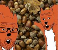 2soyjaks animal arm buck_teeth ear glasses half_open_mouth irl nuts open_mouth pointing stubble teeth trend:squirreljakking variant:two_pointing_soyjaks // 716x619 // 843.2KB