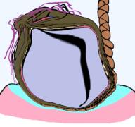 bloodshot_eyes brown_troonjak crying open_mouth rope soyjak suicide tongue transparent_background trend:slopjak variant:bernd // 768x719 // 144.7KB