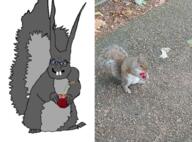 animal arm berry blue buck_teeth cherry ear food fruit full_body glasses grey_squirrel hand irl_photo leg open_mouth smile soyjak squirrel subvariant:feralsquirrel tail variant:feraljak // 922x683 // 933.9KB