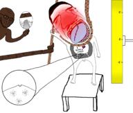 angry arm atom black_skin bloodshot_eyes chud closed_mouth crying deformed distorted electrons element glasses hand hanging leg lithium magnifier manlet mirror multiple_soyjaks neutrons nucleus open_mouth pointing poop protons rope ruler scienceblush smile smirk smug soyjak stubble tiny_penis tongue variant:chudjak variant:impish_soyak_ears variant:soyak variant:two_pointing_soyjaks zoom // 1504x1275 // 469.5KB