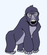 angry animal full_body fur glasses gorilla harambe monkey open_mouth series:animaljaks soyjak stubble variant:feraljak // 680x800 // 48.1KB