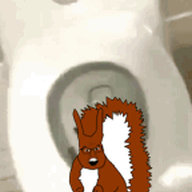 animal animated claw flushed fur glasses irl irl_background looking_at_you open_mouth subvariant:feralsquirrel tail toilet trend:squirreljakking variant:feraljak // 144x255 // 1017.2KB