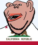 amerimutt animal bear black_sclera brown_skin california clothes ear flag flag:california hair lips mutt open_mouth soyjak state stubble subvariant:impish_amerimutt text transparent_background united_states variant:impish_soyak_ears // 685x800 // 86.5KB