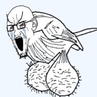 animal ball_bird balls bird bloodshot_eyes crying ear glasses hair open_mouth screaming stubble teeth testicles variant:soyak wing // 255x255 // 42.4KB