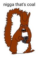 animal coal eating full_body holding_coal holding_object open_mouth soyjak subvariant:feralsquirrel tail trend:squirreljakking variant:feraljak // 340x512 // 69.9KB