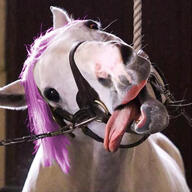 anhero animal bloodshot_eyes crying goldship hanging horse meta:nas nas not_a_FUCKING_SOYJAK open_mouth purple_hair soy_parody soyjak tranny variant:bernd // 477x477 // 68.5KB