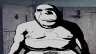 biting_lip closed_mouth evil glasses nipple soyjak stubble subvariant:hornyson variant:cobson video // 1280x720, 102.7s // 3.8MB