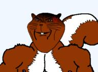 anger_mark animal buck_teeth buff ear smile smug soyjak subvariant:ominous_impish_squirrel tail trend:squirreljakking variant:impish_soyak_ears // 329x242 // 19.7KB