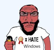 GNULinux award i_hate subvariant:science_lover variant:markiplier_soyjak windows // 1017x935 // 413.8KB