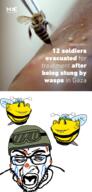 animal bee bug fangs goggles hamas headband helmet idf injured israel military_cap news palestine stinger subvariant:wholesome_soyjak variant:gapejak variant:impish_soyak_ears variant:rupturejak wasp // 915x1909 // 1.1MB