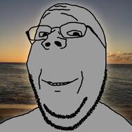 beach happy subvariant:wholesome_soyjak sunset variant:gapejak wholesome // 1000x1000 // 606.6KB