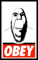 obey soyjak subvariant:hornyson tranny variant:cobson // 656x1024 // 176.9KB