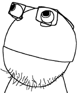 closed_mouth coconut eyeball glasses no_eyebrows soyjak stubble transparent_background variant:coconut_soy variant:unknown // 604x720 // 29.3KB