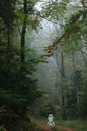 full_body nature shadow subvariant:wholesome_soyjak variant:gapejak // 2048x3072 // 4.0MB