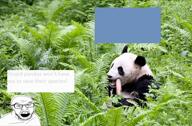 animal bald black_and_white burialgoods fern glasses irl_background meme panda schizo stubble variant:feraljak video voiceover wordswordswords // 546x360, 48s // 1.6MB