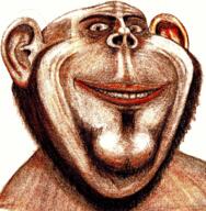 beard brown_eyes closed_mouth ear mustache realistic redraw smile soyjak uncanny variant:impish_soyak_ears white_skin // 1967x2008 // 9.9MB