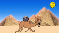 camel coal desert egypt subvariant:crying_soyak subvariant:long_crying_soyak subvariant:wholesome_soyjak variant:gapejak variant:impish_soyak_ears variant:soyak // 1920x1080 // 1.1MB