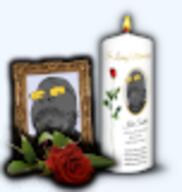 candle flower glasses grey_skin hearts_of_iron mourning mustache picture plant rose smile soot soot_colors soyjak soyjak_party stubble sunglasses tno variant:gapejak // 76x80 // 9.1KB