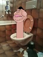 aryan_beast beast braphog irl obsessed_brimstone satoko_houjou(namefag) shitoko skibidi skibidi_toilet toilet variant:meximutt // 1536x2040 // 2.1MB