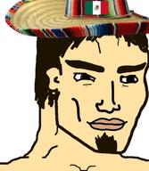 castizaryan castizo castizo_futirism flag:mexico handsome mexiaryan mexican_flag mexicaryan mexico mexico_is_white // 1080x1240 // 359.4KB