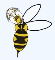 tranny troon variant:bernd wasp waspfag // 3000x3246 // 444.3KB