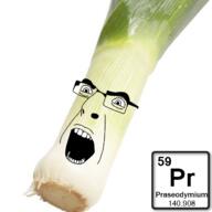 angry chemistry element food glasses lanthanides leek objectsoy open_mouth praseodymium soyjak text variant:cobson vegetable // 630x630 // 251.0KB