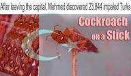 ants brown brown_skin bug carcass cockroach corpse dead death eating flag food impaled nigger roach soyjak stick stinky stubble teeth text turkiye variant:feraljak vlad_the_impaler yellow_teeth // 1332x777 // 886.3KB