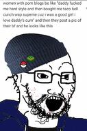 badge beanie beard clothes glasses hat open_mouth pokemon soyjak stubble text the_legend_of_zelda variant:soyak // 793x1199 // 161.2KB