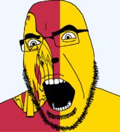 angry animal bird country flag flag:kirovohrad_oblast glasses hair kirovohrad_oblast looking_to_the_left oblast open_mouth plant soyjak stubble teeth thick_eyebrows ukraine variant:cobson // 721x789 // 89.7KB