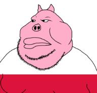 country meta:tagme pig pigskin pink_skin poland slavic stubble variant:meximutt // 888x849 // 11.4KB