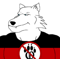 anti_furry blue_eyes flag:anti_furry furry subvariant:furmexiaryan subvariant:mexiaryan variant:meximutt wolf // 886x872 // 91.3KB