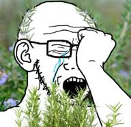 arm closed_eyes crying ear glasses hand herb holding_object irl_background open_mouth plant rosemary soyjak stubble variant:soyak // 782x758 // 694.5KB