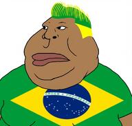 brapzilian brazil flag:brazil subvariant:arabmutt variant:meximutt // 1133x1080 // 277.3KB