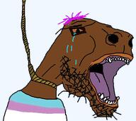 ack bbq_sauce meta:namefags tranny troon variant:unknown // 491x435 // 115.8KB