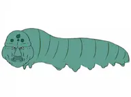 1soyjaks animal bug caterpillar critter series:animaljaks variant:disgusting_trevorcreature // 836x617 // 88.5KB