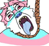 ack animal bad_teeth faggot flag:transgender_pride_flag fur furfag furry glasses hanging open_mouth original_content red_eyes rope subvariant:trannyfur tongue tranny trans trans_flag transgender_flag variant:bernd wolf // 760x704 // 46.4KB