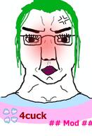4chan anger_mark angry clothes flag glasses green_hair hair makeup red_face soyjak subvariant:chuddy tranny variant:chudjak // 490x720 // 152.2KB