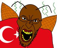 angry country flag flag:turkiye glasses open_borders_for_turkey(nameroach) open_mouth roach soyjak star_(symbol) star_and_crescent stubble turkiye turkroach variant:angry_soyjak // 1600x1340 // 121.8KB