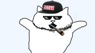 animal cat catjak catjak_will_always_be_a_gemerald gaping_mouth glasses ias jak stubble variant:catjak // 960x533 // 79.0KB